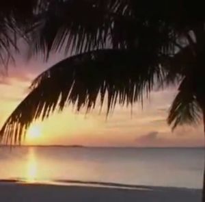 Meet your Posher, Ruben